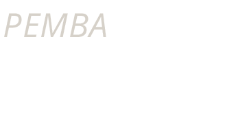 Pemba Travel Desk by Quinta Essência Logo